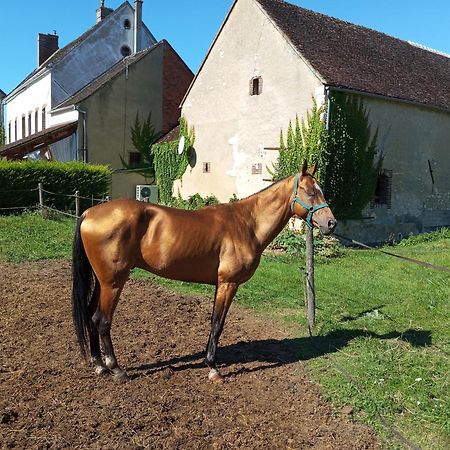 Brienon-sur-Armançon Le Moulin Neufヴィラ エクステリア 写真