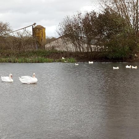 Brienon-sur-Armançon Le Moulin Neufヴィラ エクステリア 写真