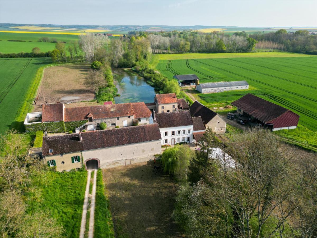 Brienon-sur-Armançon Le Moulin Neufヴィラ エクステリア 写真