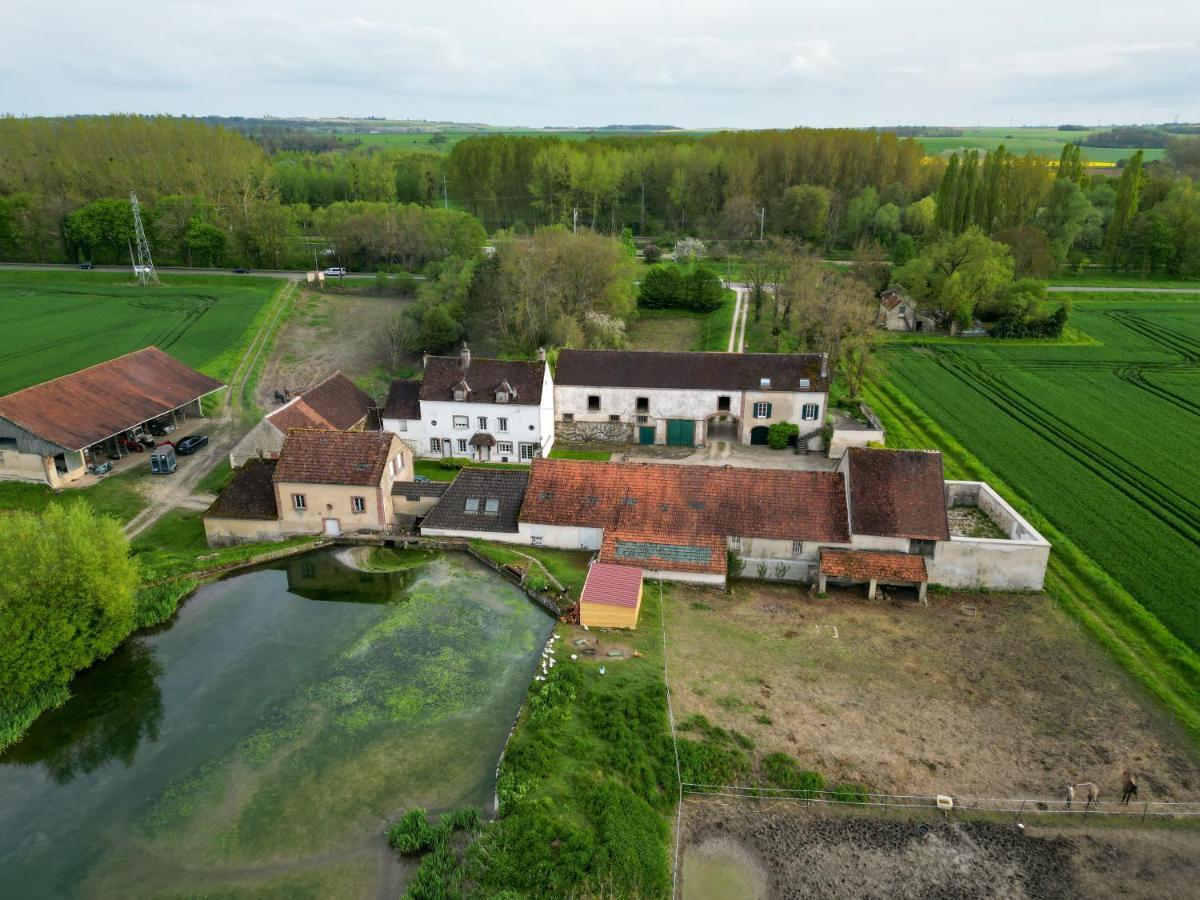 Brienon-sur-Armançon Le Moulin Neufヴィラ エクステリア 写真