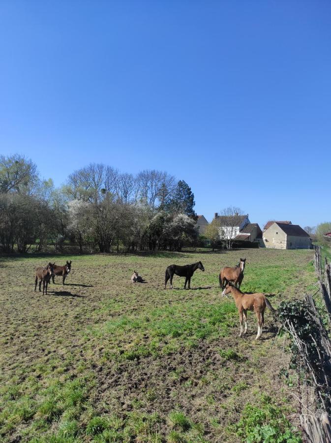 Brienon-sur-Armançon Le Moulin Neufヴィラ エクステリア 写真