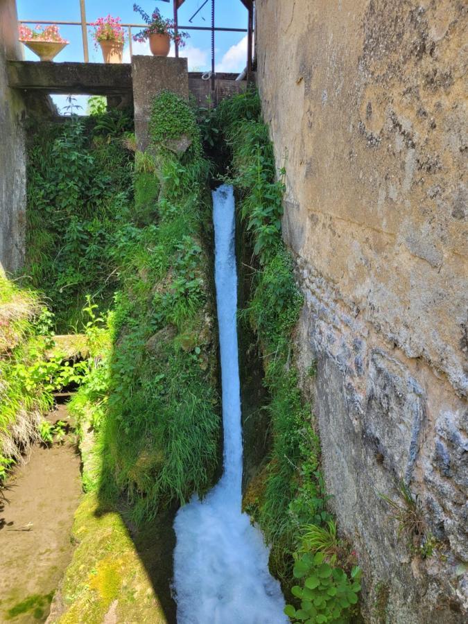 Brienon-sur-Armançon Le Moulin Neufヴィラ エクステリア 写真