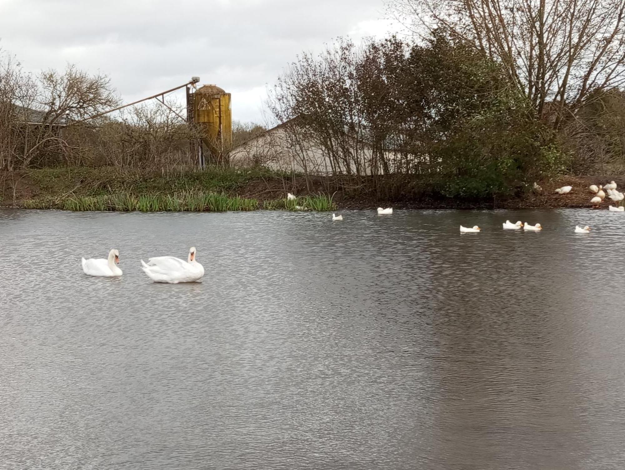 Brienon-sur-Armançon Le Moulin Neufヴィラ エクステリア 写真